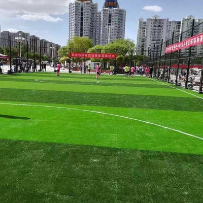 좋은 가격 축구 학교 훈련을 위한 PE PP 자료 종합적 인공 먹이풀 온라인