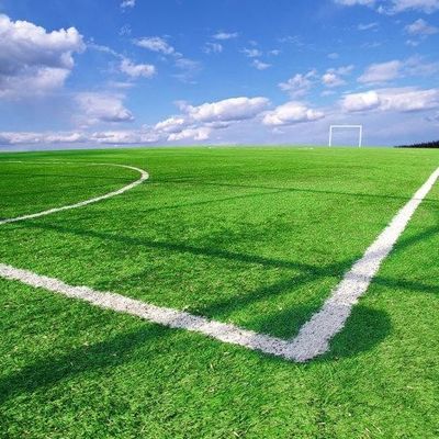 좋은 가격 장식 OEM ODM을 조경을 하기 위한 축구장 종합적 인공 먹이풀 반대 UV 온라인