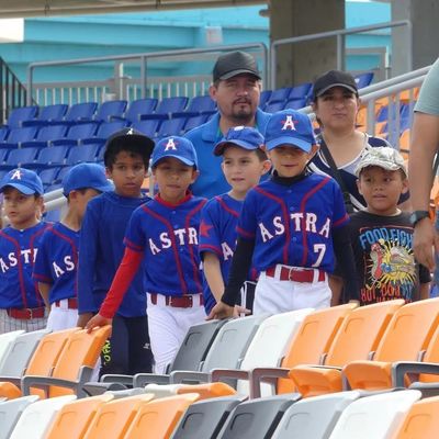 HDPE 플라스틱 경기장 좌석, 노화 방지, 자외선 방지 및 경기장 및 경기장용 방화성 기능