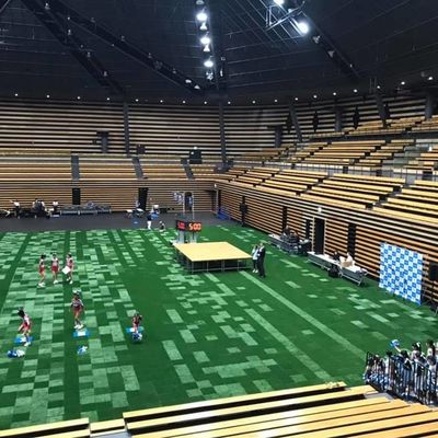 축구 축구 스포츠 구기장 SGS 증명서를 위한 45 밀리미터 높이 종합적 인공 먹이풀