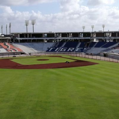 층 설치는 반대 나이든 반대 UV 내화를 위치시키는 위로 플라스틱 경기장에게 비밀 정보를 제공합니다