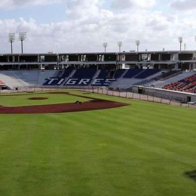 HDPE 물질 경기장 스포츠 좌석 5 년 - W 430 mm * D 600 mm * H 835 mm