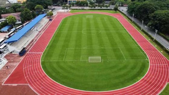 좋은 가격 피트니스 센터용 저 유지 보수 고무 운동 경주 트랙 온라인