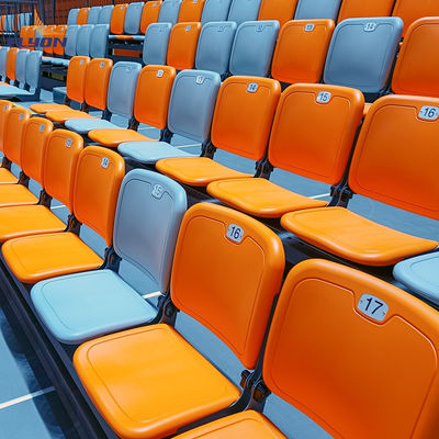 200-500명 용량 체육관 비트니어 후집 가능 선택지 바닥 맞춤형 너비