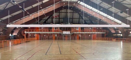 좋은 가격 자동 전기 제어 시스템 분리 커튼 높은 강도 직물 커스터마이징 색상 실내 스포츠 온라인