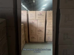 OEM/ODM 실내 행사용 편안한 극장 좌석 솔루션